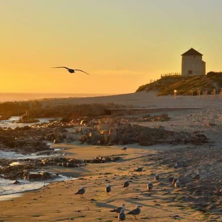 Casa De Praia - Studio Esposende Dış mekan fotoğraf